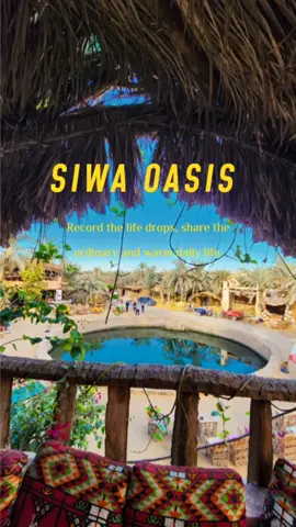 !سيوة في 11 ثانية Siwa Oasis, Egypt 📍  #siwa #egypt #travelvlog #siwaoasis #amazigh  #سيوة #سيوة_سفاري_واحه_الغروب 
