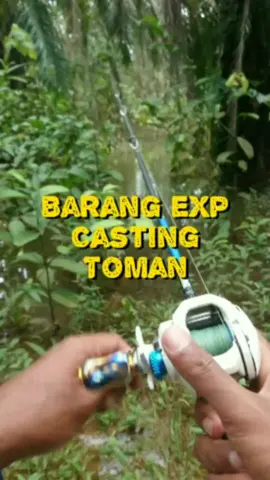 Twin splash n trident rod #castingtoman #toman #ikantoman #fishing #kingcurutz #teamcurutz #expfishing #exp @EXP FISHING 