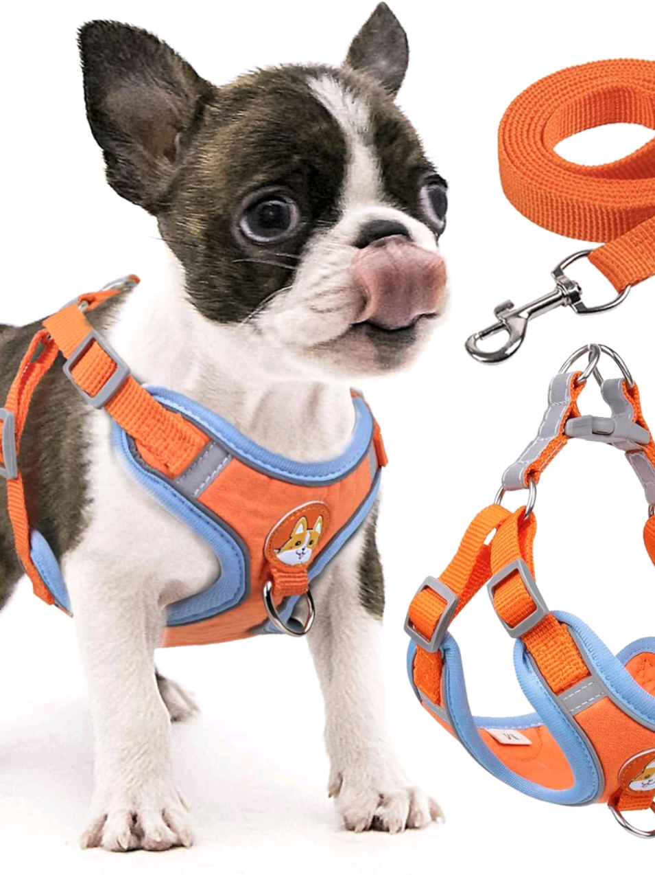 Dê uma olhada em Coleira Peitoral coleira para cachorro com guia para pet pequenos e médios colete confortável.#pets#cães#gatos#dog#cat  LINK de compra 🛒🛍️ na Bio 👉 adquira aqui 
