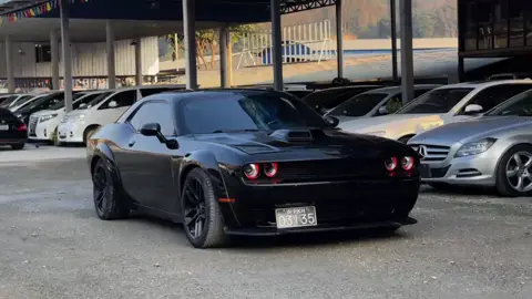 道奇地狱猫，带佤邦牌证，车况精品 Dodge Hellcat ဝလိုင်စင်ပြားပါ ကားအခြေအနေကောင်း ယွမ်၇သောင်းကျော်#fouryou #fyp #fypシ゚ #ကားရောင်းဝယ်ရေး #myannartiktok #fy #မိုင်းလားမြို့ 