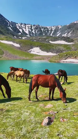 بحيرة آقلميم 🇩🇿❤️  Lac agoulmim lokan kamal 9raytou biensur 👏  #dz #algeria #northafrica #touriste #lac #agoulmim #tiziouzou #kabylie 