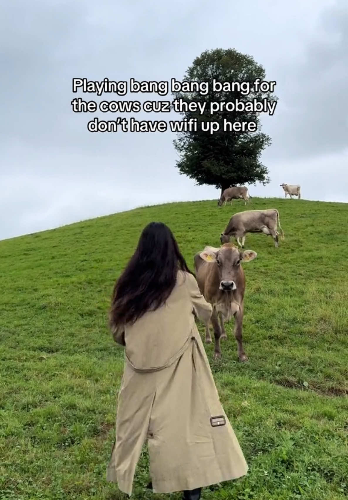 Only legends know that it’s a repost  #fyp#fypシ゚#foryou#foryoupage#cow#cows#switzerland#bangbangbang#bigbang#kpop#kpopfyp#kpopfan#2ndgenkpop#trendingsound  