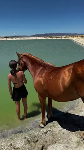 #SAMA28 #horselovers #fortheloveofhorses #horses #horseriding #bareback #barebackriding #farm #farmlife #farmgirl @c  h  e  r  r  y  🫧 