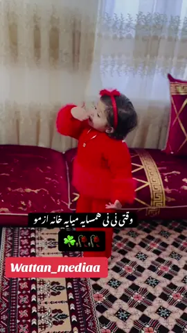 #تاجیک_هزاره_ازبک_پشتون_ترکمن🇦🇫 #افغانستان #عروسی #افغانی #هزارستان💛♡💙 #foryouu #vairal 