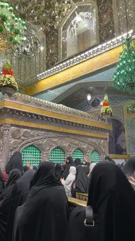 محتاج ازورك محتاج ازورك مولاي يا الرضا محتاج ازورك اللهم ارزقني زيارة مولاي انيس الفوس غريب طوس  ضامن الجنة  #السلام_عليك_ياانيس_النفوس_وشمس_الشموس  #العراق_كربلاء_مشهد_سوريا_النجف #البحرين🇧🇭_سار_الجنبية_اكسبلور 