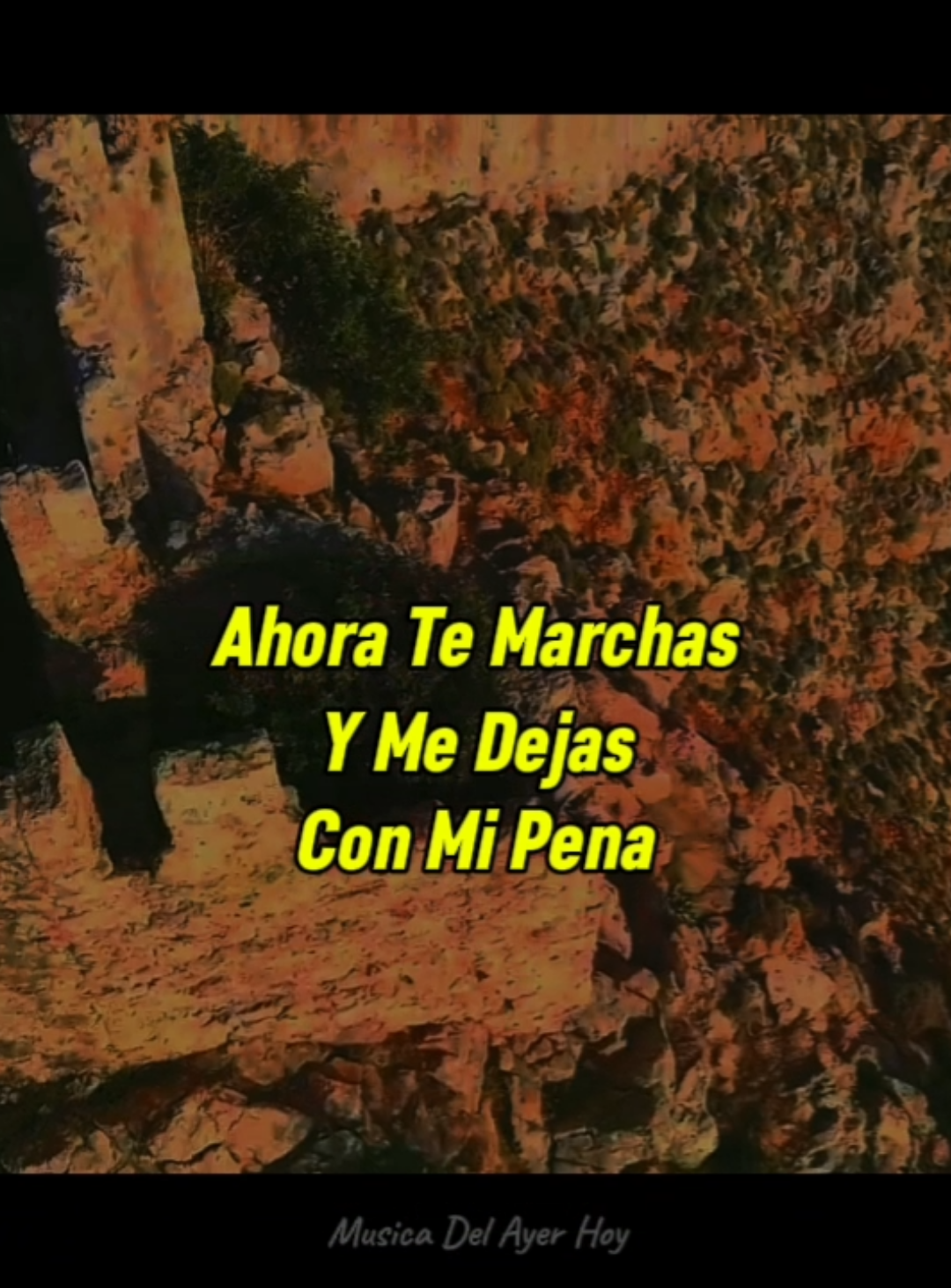 Para Esa Paloma Ajena #Cumbia #palomaajena #losecos  #musicaconletra #youtubemusic #tiktokmusic  #musicaconletra #amor #traicion #viraltiktokvideo  #fyp #paratiiiiiiiiiiiiiiiiiiiiiiiiiiiiiii 