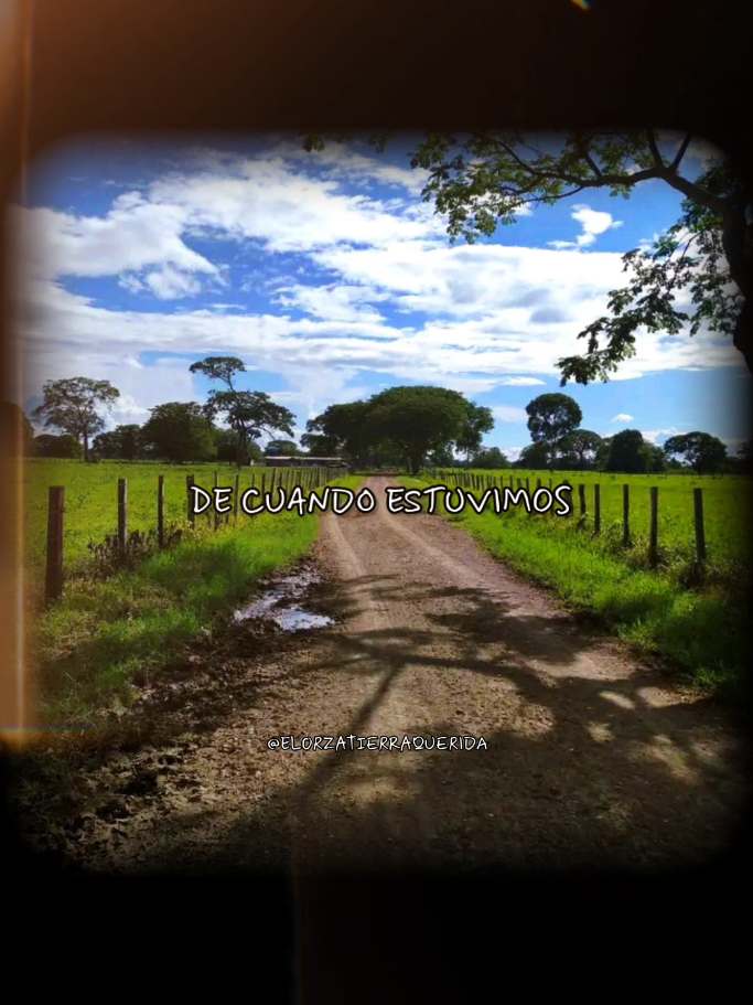 #venezolanosenelmundo #musicavenezolana #llanosvenezolanos #joropoparaelmundo #venezuela #joropo #gratitud #musicallanera #llaneras #elorza #llanerasvenezolanas #fiestasenelorza #letrasdecanciones🎧🎶 #colombia 