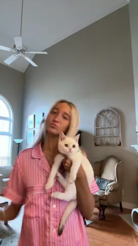 just bc this cat is my whole personality ☺️😊😆