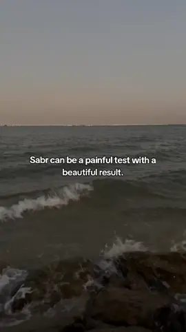 sabr.