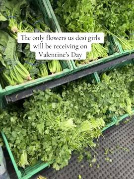 🫣🫣 #fyp #desitiktok #desi #foryoupage #ValentinesDay 