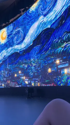 @🦦 Breathtaking #fyp #museum #starrynight #vangogh 