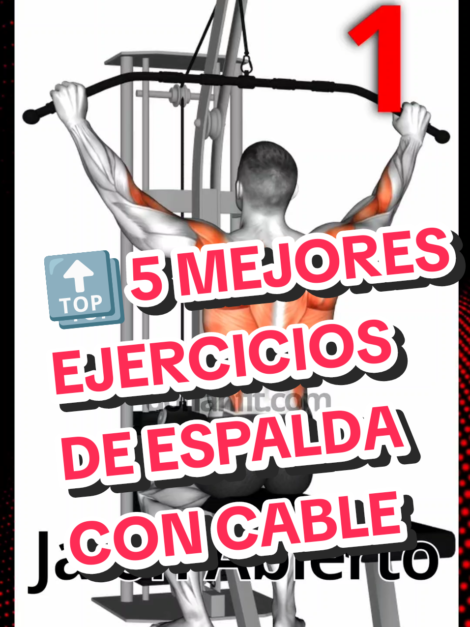 🔝 5 MEJORES EJERCICIOS DE ESPALDA CON CABLE 🔥 Si quieres una espalda ancha, fuerte y definida, estos ejercicios no pueden faltar en tu rutina. 💪🏼⚡ 💥 1. Jalón al pecho agarre abierto – Ancho de ala garantizado. 🦅 💥 2. Jalón supino (agarre inverso) – Espesor y activación brutal del bíceps. 🔥 💥 3. Jalón con agarre en V – Dorsales bien trabajados y máxima contracción. 💯 💥 4. Remo Gironda – El secreto de los físicos estéticos. 🏆 💥 5. Jalón tras nuca – Para dar ese toque final a la amplitud. ⚡ 📌 Guárdalo y pruébalos en tu próxima sesión. No hay excusas para no construir una espalda poderosa. 🏋🏼‍♂️ ⚡ ¿Cuál es tu favorito? Déjamelo en los comentarios. 🔽 Sígueme en @dorianfit.es para más tips de fitness, nutrición y estilo de vida saludable. 💯🏋️‍♂️ ¿Listo para llevar tu rendimiento al siguiente nivel? Visita Lifepronutrition.com y utiliza nuestro código de descuento “DORIAN” para adquirir tus suplementos. 🔹Envios de suplementación gratis (24h a partir de 25€):  ✅Envíos en 24 horas ✅-10% de descuento código DORIAN ✅Regalos en tu pedido 💪¿Necesitas ayuda con tu dieta y entrenamientos? Descarga nuestra app o visita Dorianfit.com para contratar uno de nuestros planes personalizados. ¡Te esperamos! #EspaldaAncha #FitnessMotivation #Entrenamiento #GymLife #EspaldaV #Musculación #DorianFit