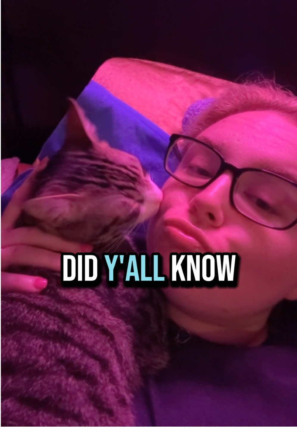 #catsoftiktok #tabbycat #grooming #catlover 