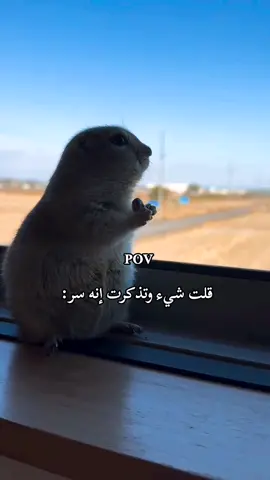 🌚😂😂 #الشعب_الصيني_ماله_حل😂😂 #مالي_خلق_احط_هاشتاقات #رياكشن #رياكشنات_مضحكه #رياكشنات #pov #اكسبلورexplore 