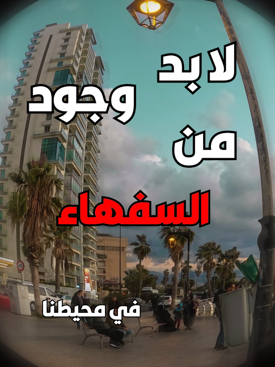 لا بد من وجود السفهاء في محيطنا 😁🥴 #lebanon #لبنان #foryoupage #virall #fypシ #خواطر #بيروت 