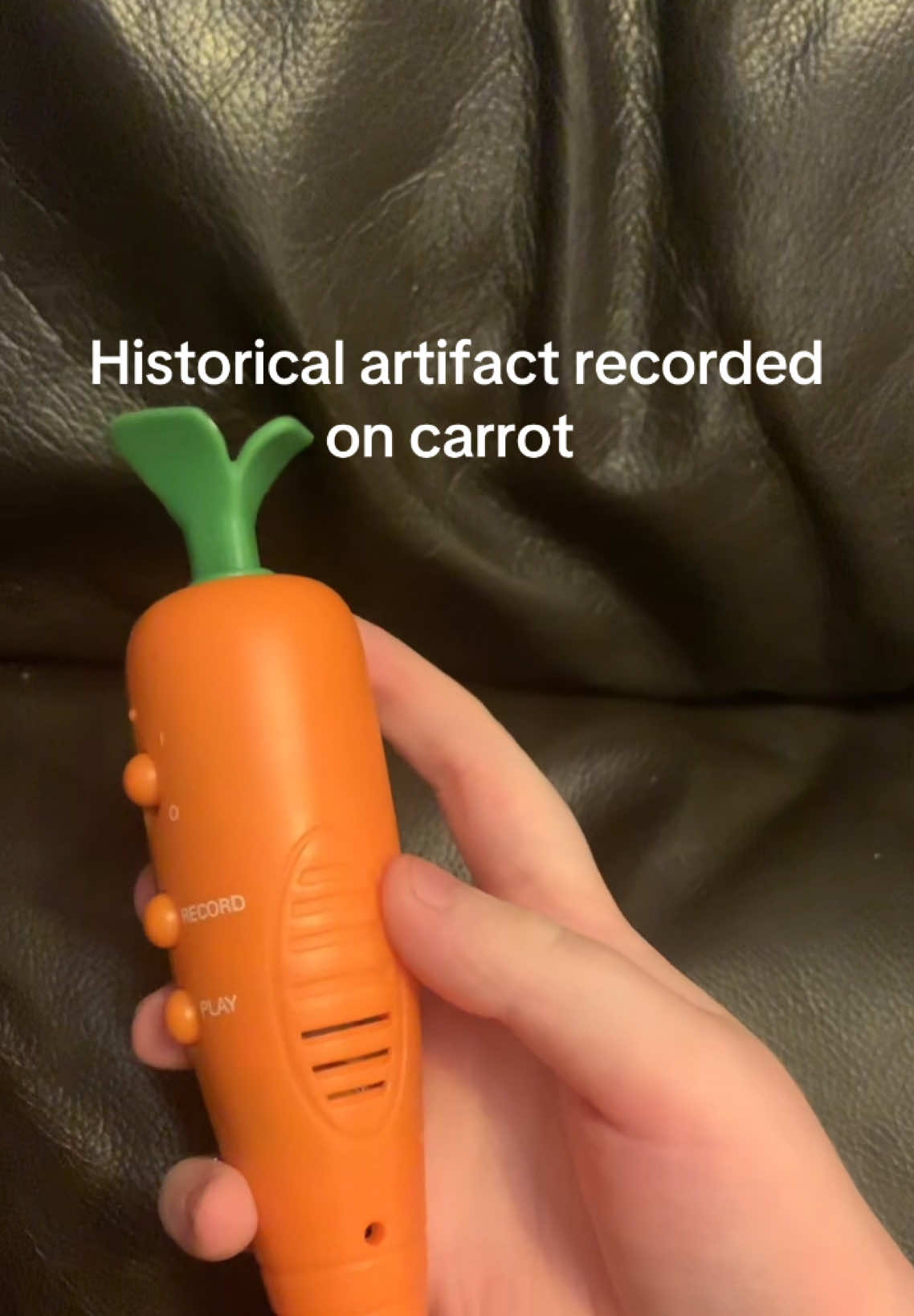 #funny #song #fyp #fyppppppppppppppppppppppp #carrot #recorder 