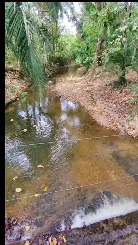 Añoranzas #rafaelorozco #binomiodeoro #vallenatosdeoro #fyp 