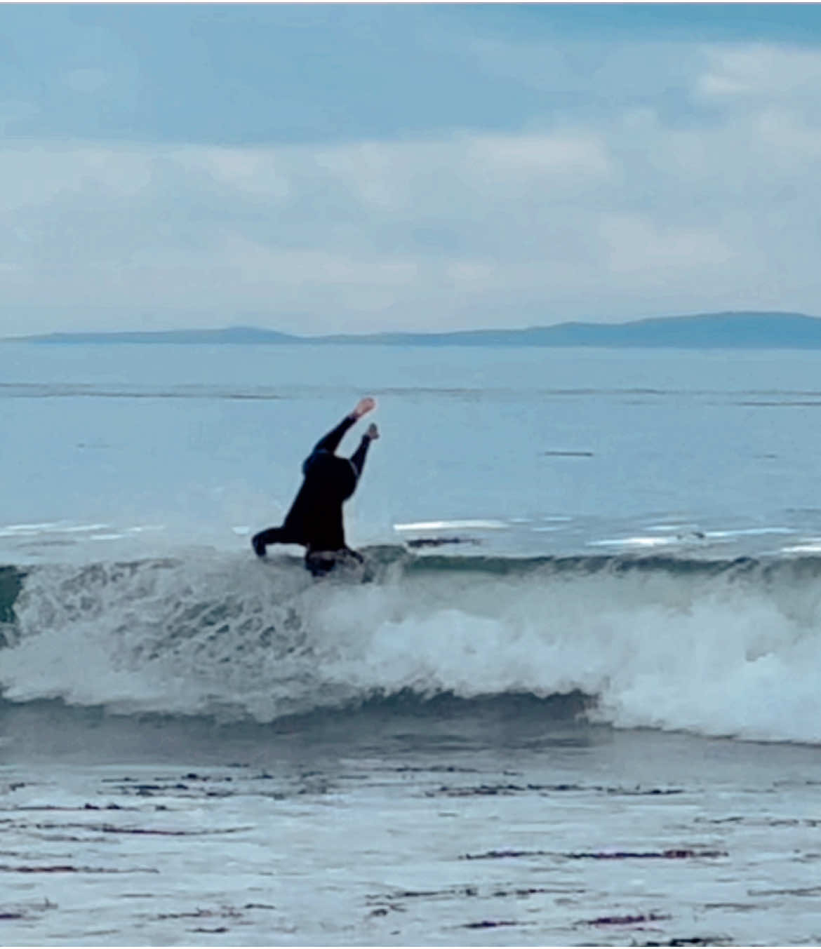 🪵 🤪                                                                                        #surf 