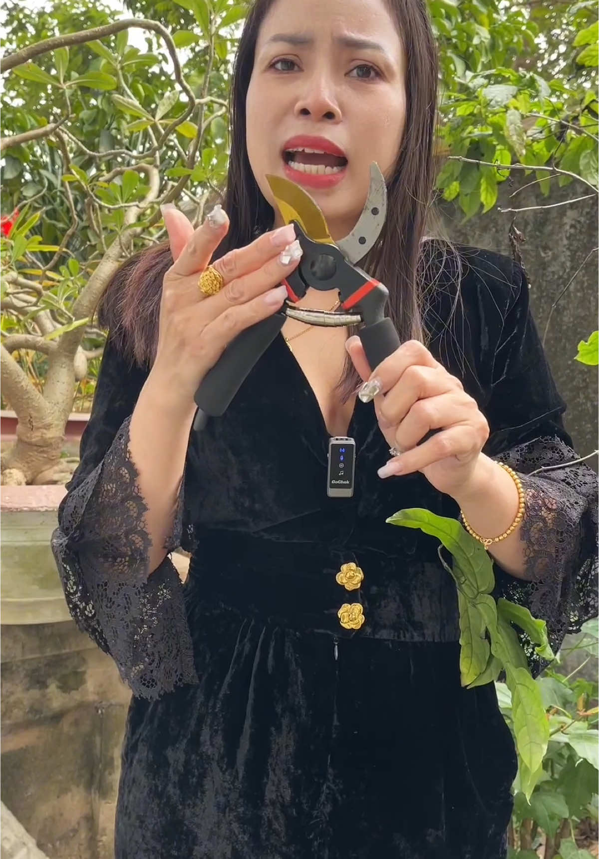 Kéo SK5 của Nhật Bản cắt tỉa cành cây rất tuyệt vời #keocatcanh #keocatdanangsk5 #keocat #keocatcanhcay #hahienhoa1 #xuhuong 