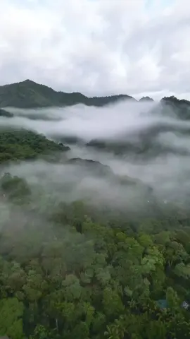 Anyone loves mornings like this ?  A slice of heaven on earth. 🌤️ #tanayrizal from above!  . . . . . . . . . . . . . #fy #fyp #travel #traveltiktok #philippines #dronevideo #dji #djimini3pro #drone #adventure #seaofclouds #mountain #morning #morningroutine #viral #trending 