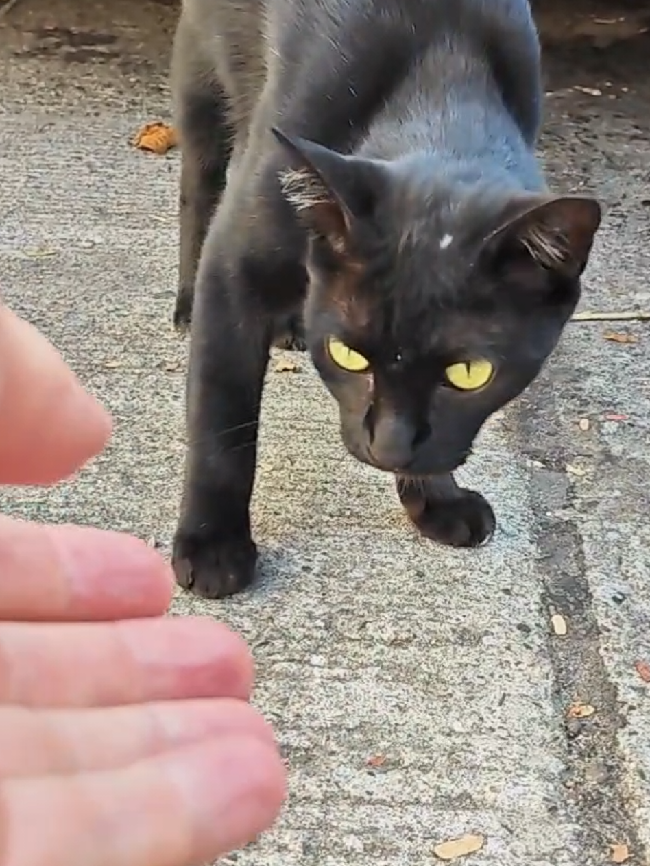Two new friends and one 