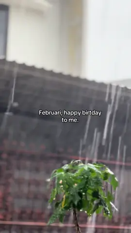 #foryou #xcyzba #februari #hbd #ultah #2025 #fypviral #ulangtahun #sw #strory 