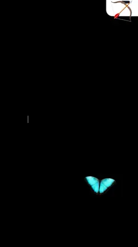 #mariposatraisionera#mana#rocknacional#reflexion #viraltiktok #capcut #estadosdewhatsapp #classic #lyricsvideo #reflexion