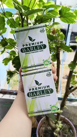 Saludable Barley Grass Powder 30G. Checkout Now! #saludablebarley  #saludablebarleygrass  #saludablebarleygrasspowder  @TresGP 