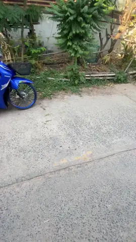 #เวฟ110i2024💙 #บอดี้เวฟ💙🚀 #ไอเสียชาญสปีด🚀 #อย่าปิดการมองเห็น 