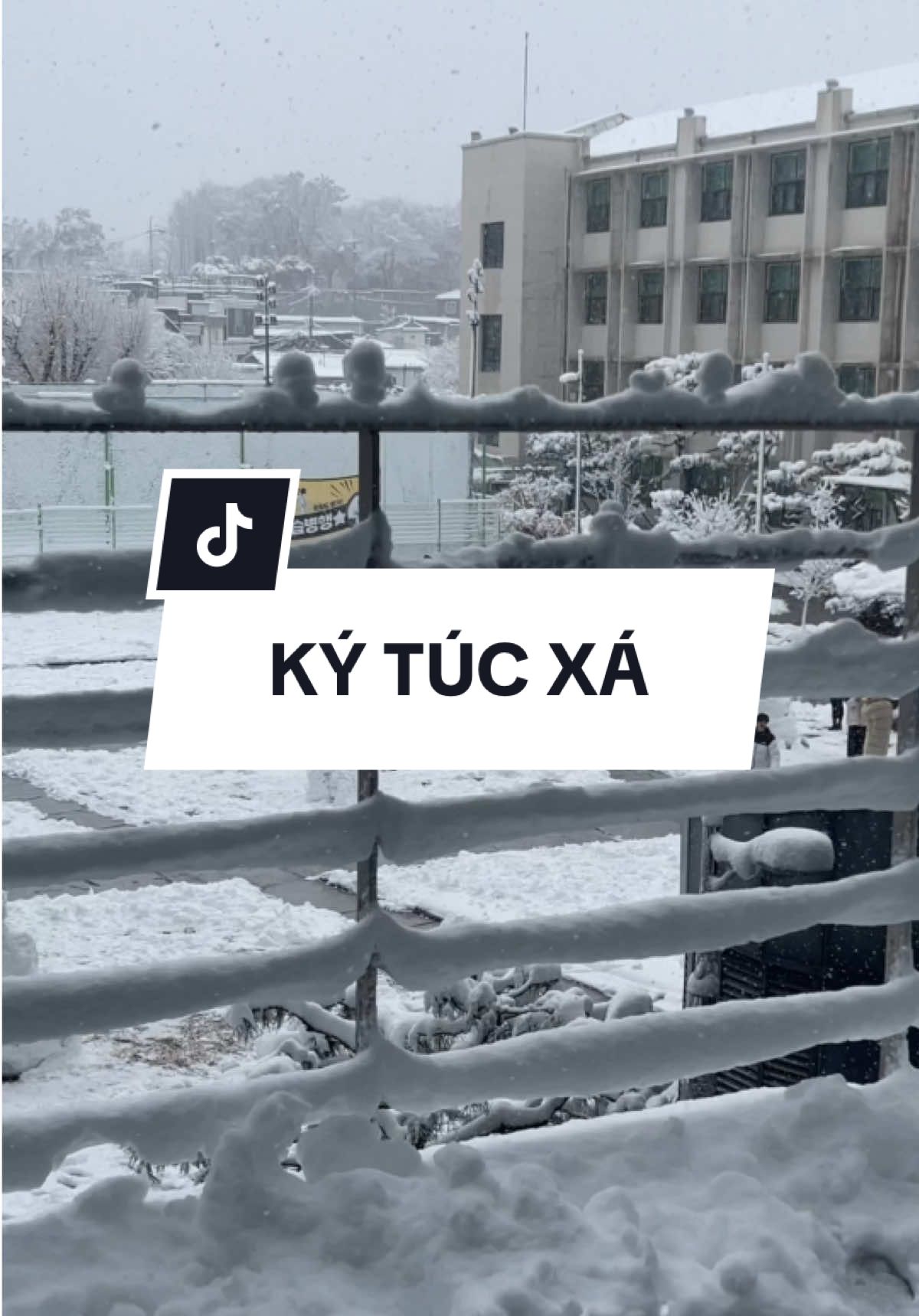 Trường đại học Hansung có ký túc xá không ? #hansunguniversity #Daihochansung #한성대학교 #duhochanquoc #hanquoc #thinhhanh 