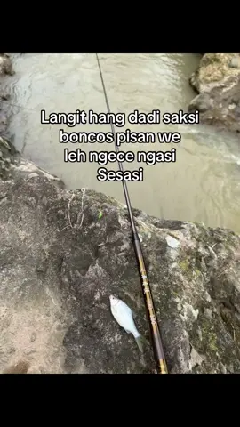 🤣#f #fyp ##mancingmania #mancingboncos #microfishingindonesia #fishing #tukangmancing 