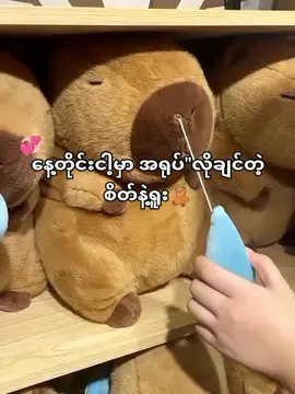 လိုချင်တယ်😭🧸