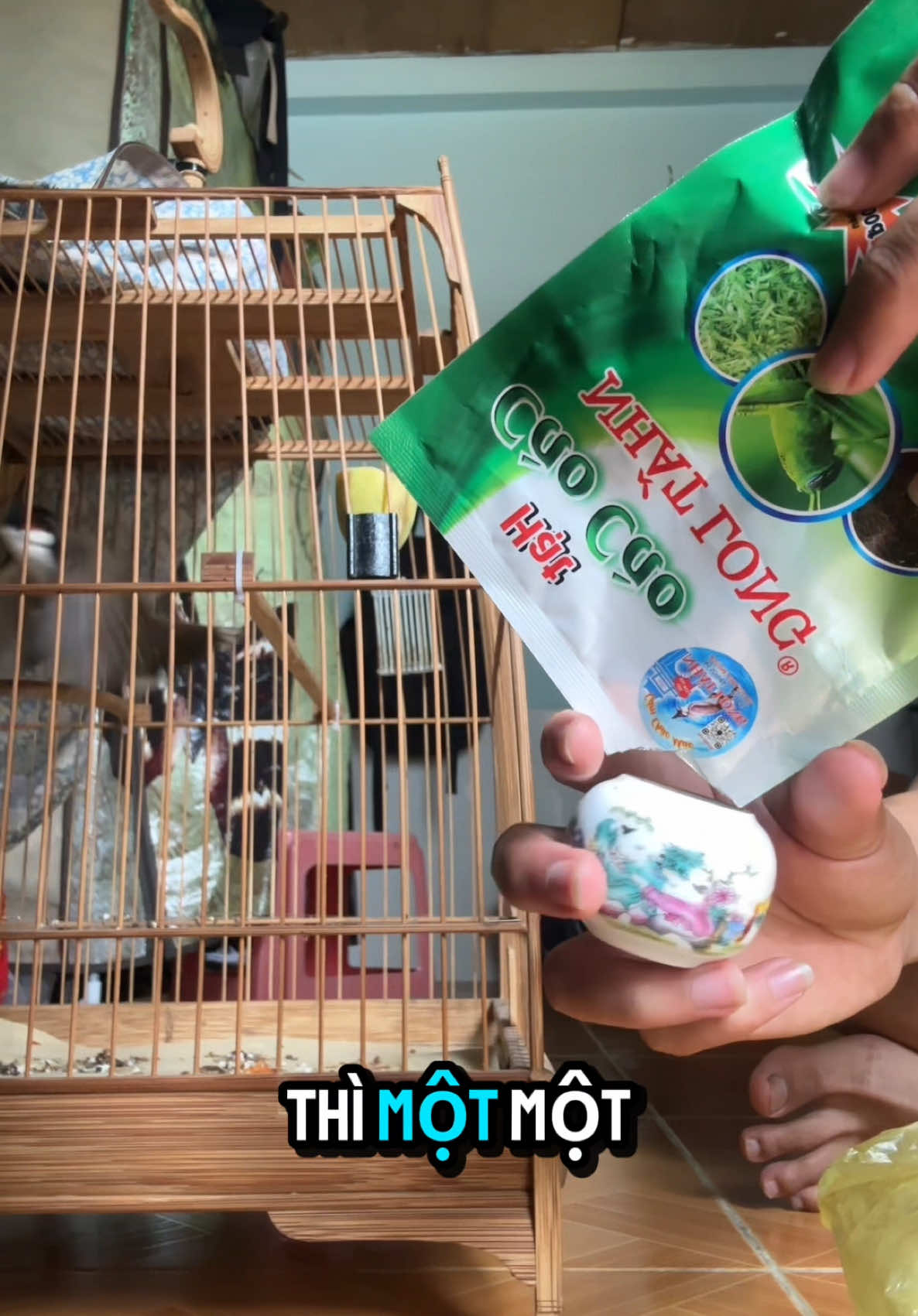 Cào cào tươi nay hiếm quá. Đành lấy loại này bổ sung được ko ae ?😂#hoichimchaomao #chaomao #dammechimcanh #nghienchimcanh #chaomaomiennam #chaomaoche #chaomaomai #xuhuong #thịnhhành 