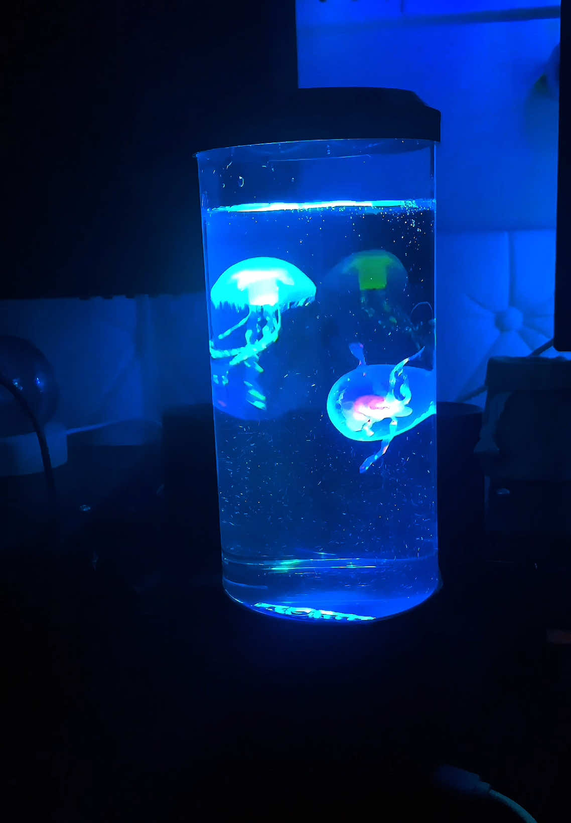 Led lava lamp mini aquarium lamp with jelly fish simulation #lamp #lavalamp #ledlampjellyfish 