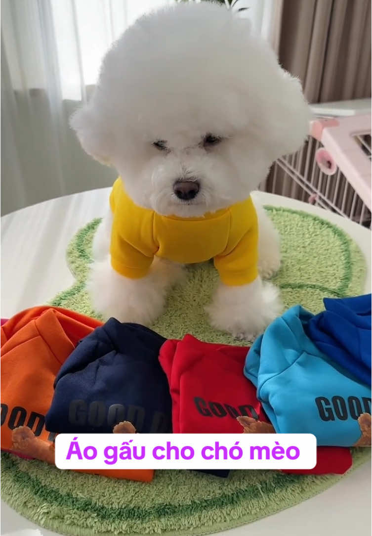 Áo chó mèo good day vải nỉ có tay #aoquanchomeo #aogaugoodday #aonichochomeo #yeuchomeo #chamsocthucung #xuhuong #viral  @Happy.Pets  @Happy.Pets  @Happy.Pets 