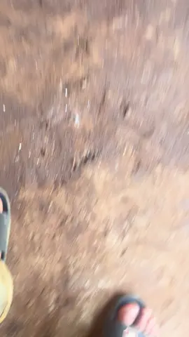 Ko có xe đi chơi chán thật 🥲#54yet6 