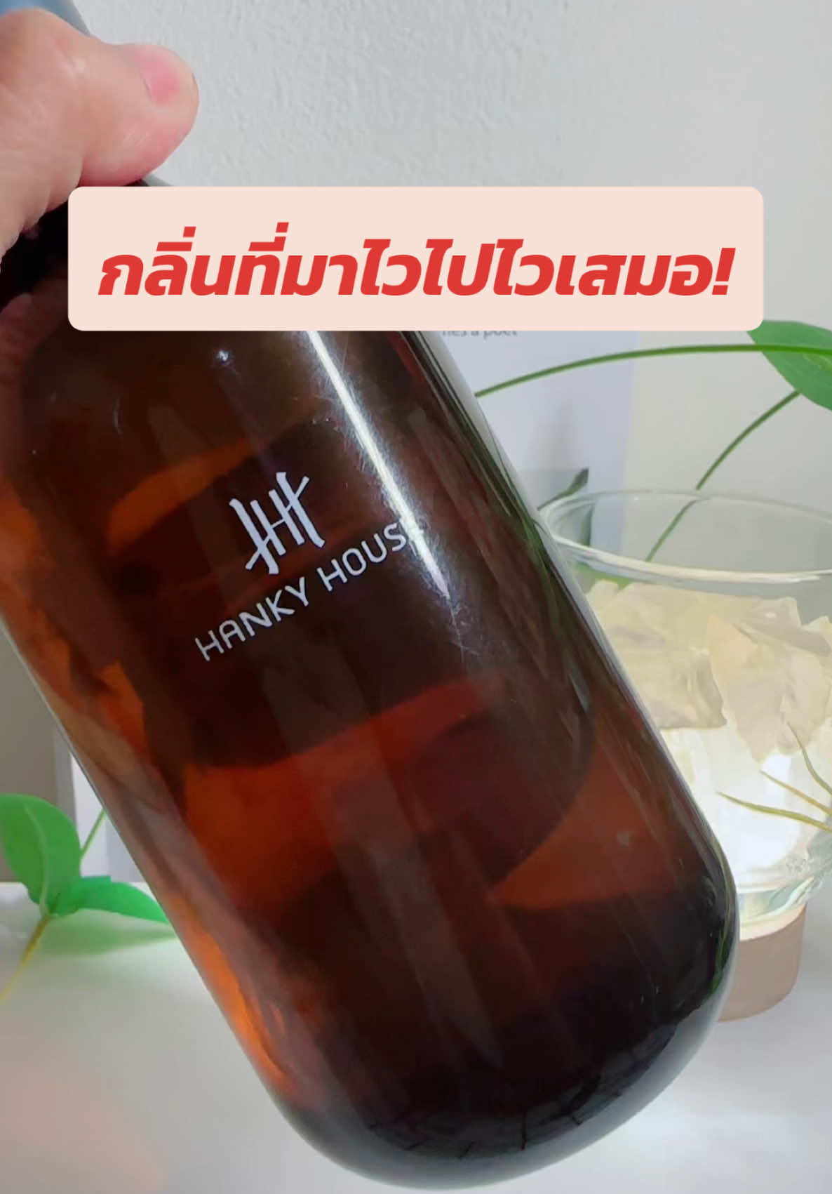 มาไวหมดไวเสมอ หอมหรูยืน1 #ก้านไม้หอม #ก้านไม้หอมปรับอากาศ #ก้านไม้หอมกลิ่นโรงแรมหรู #hankyhouse #ตูนตูนขยันป้ายยา  @ตูนตูนขยันป้ายยา  @ตูนตูนขยันป้ายยา  @ตูนตูนขยันป้ายยา 