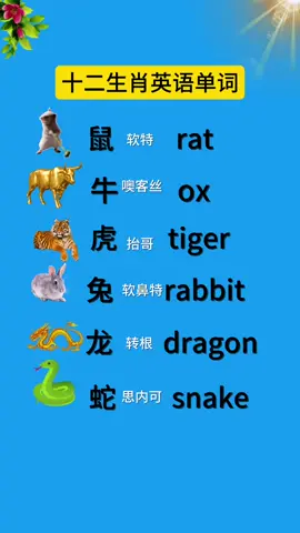 #英語 #零基础学英语 #英語学習 #英語教師 #英语口语 #中英文对照 #中英文字幕 #中英文 #中英文翻译 