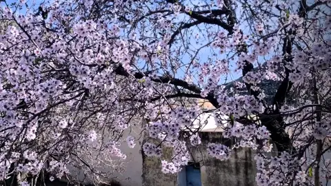 #tunisia🇹🇳 #شعب_الصيني_ماله_حل😂😂 