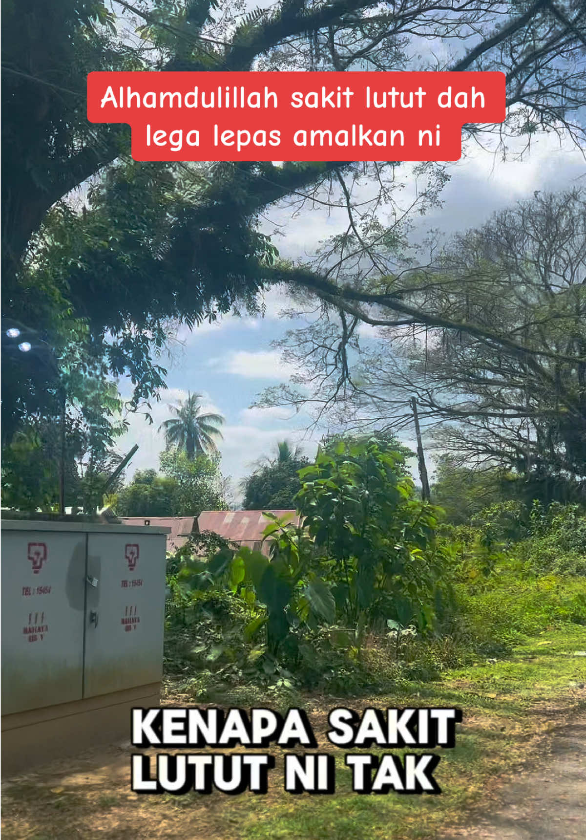 Alhamdulillah sakit lutut dah lega lepas amalkan #maajunsendi ni