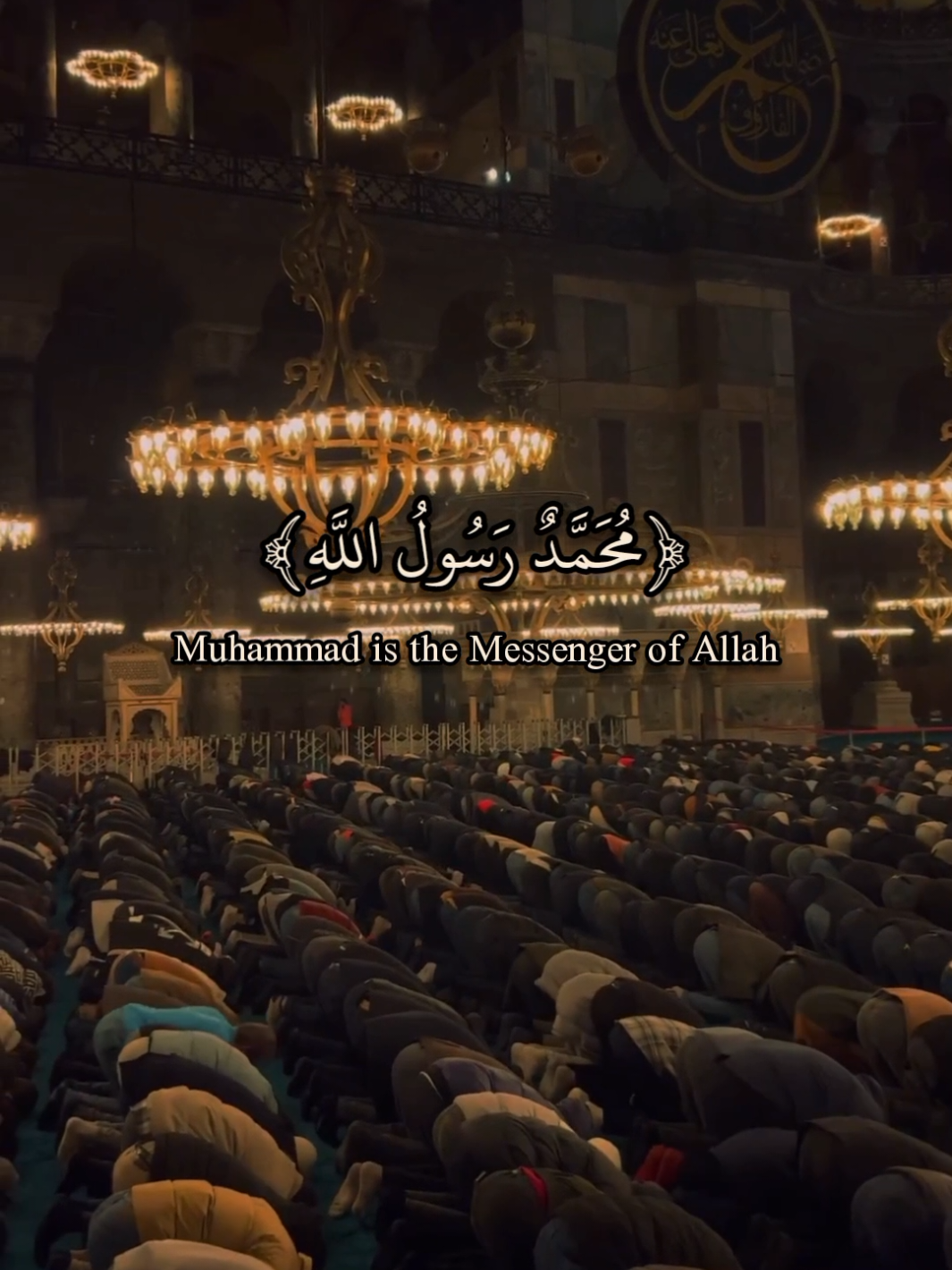 Surah Fath | Muhammad Al-Faqih  Muhammad Is The Messenger Of Allah #allah #zeealquran #القران_الكريم  #foryoupage  #سورة_الفتح #quran #محمد_الفقيه 