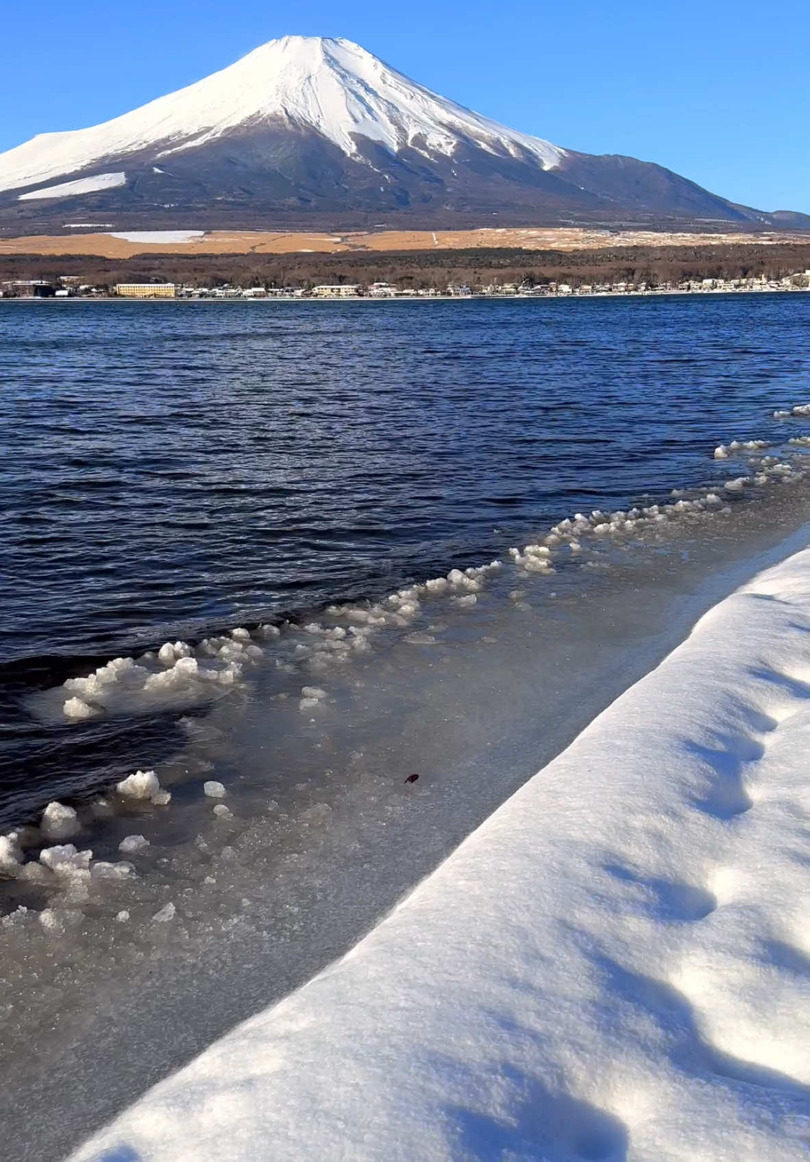 冬の山中湖で富士山 📲2023/2/11 Mt.Fuji at lake Yakanaka in the winter.  #japan #富士山 #mtfuji 
