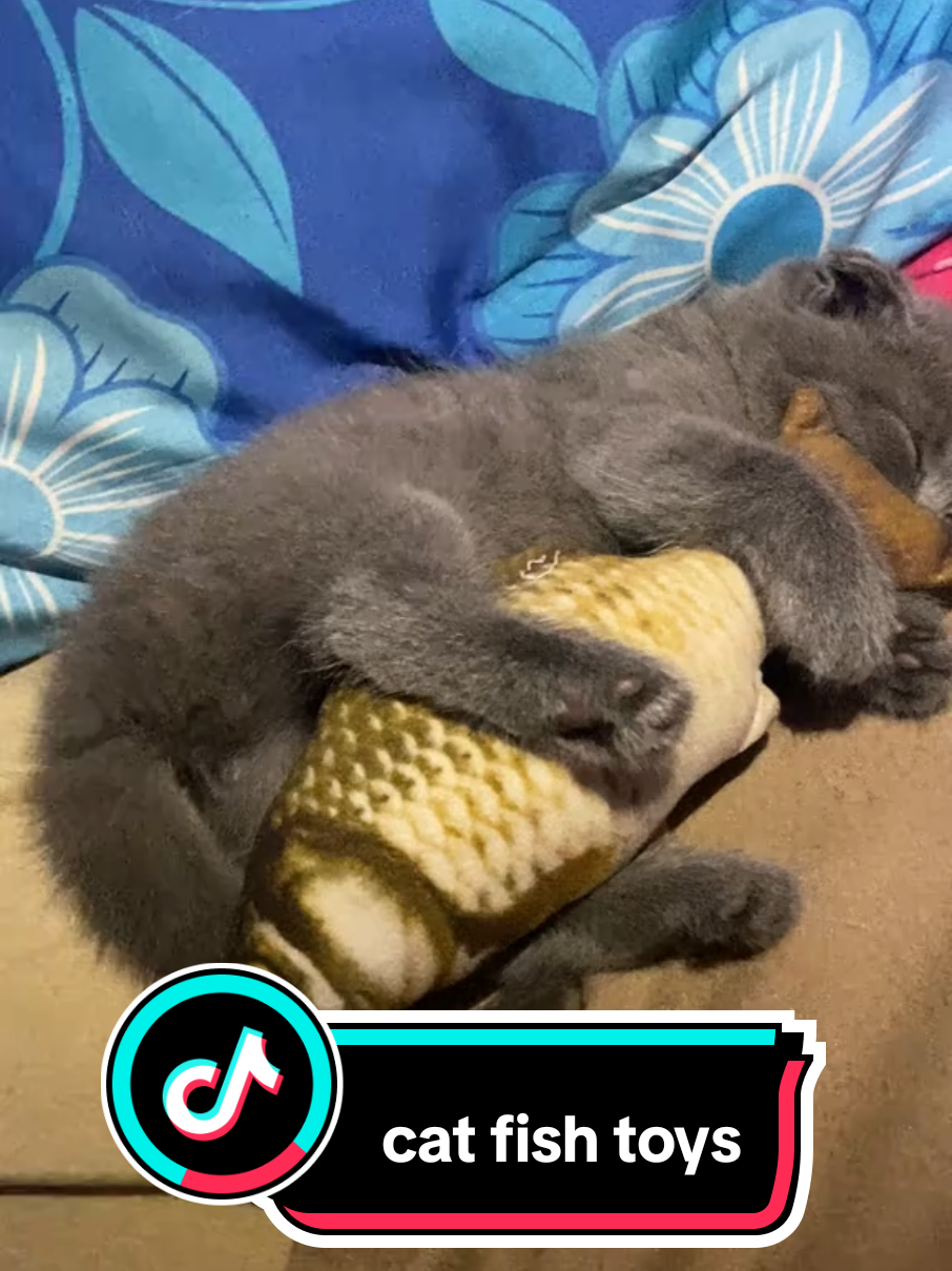 super himbing ang tulog ng furbaby ko dahil yakap yakap  nya ang kanyang cats fish toys tuwing aalisin ko nagigising napaka cute naman talaga ng furbaby ko