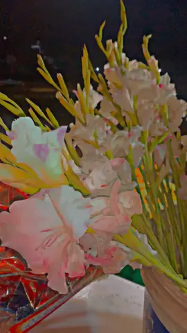 زندگی میں اک وقت آتا ہے جب یہ طے کرنا ہوتا ہے!! کہ صفحہ پلٹنا ہے۔ یا پھر کتاب بند کرنی ہے۔۔✨#foryouu #fypシ゚viral #foryoupage 