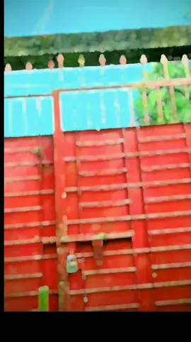 Robin ahmd##@Omor On Fire ##@দিরাই ফুয়া  রানা ভাই ###