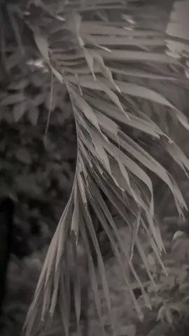 💐🤲 #qoutes #katakata #selfreminder #qoutesislami #ihsannurfauzi__ #fyp #fypシ 