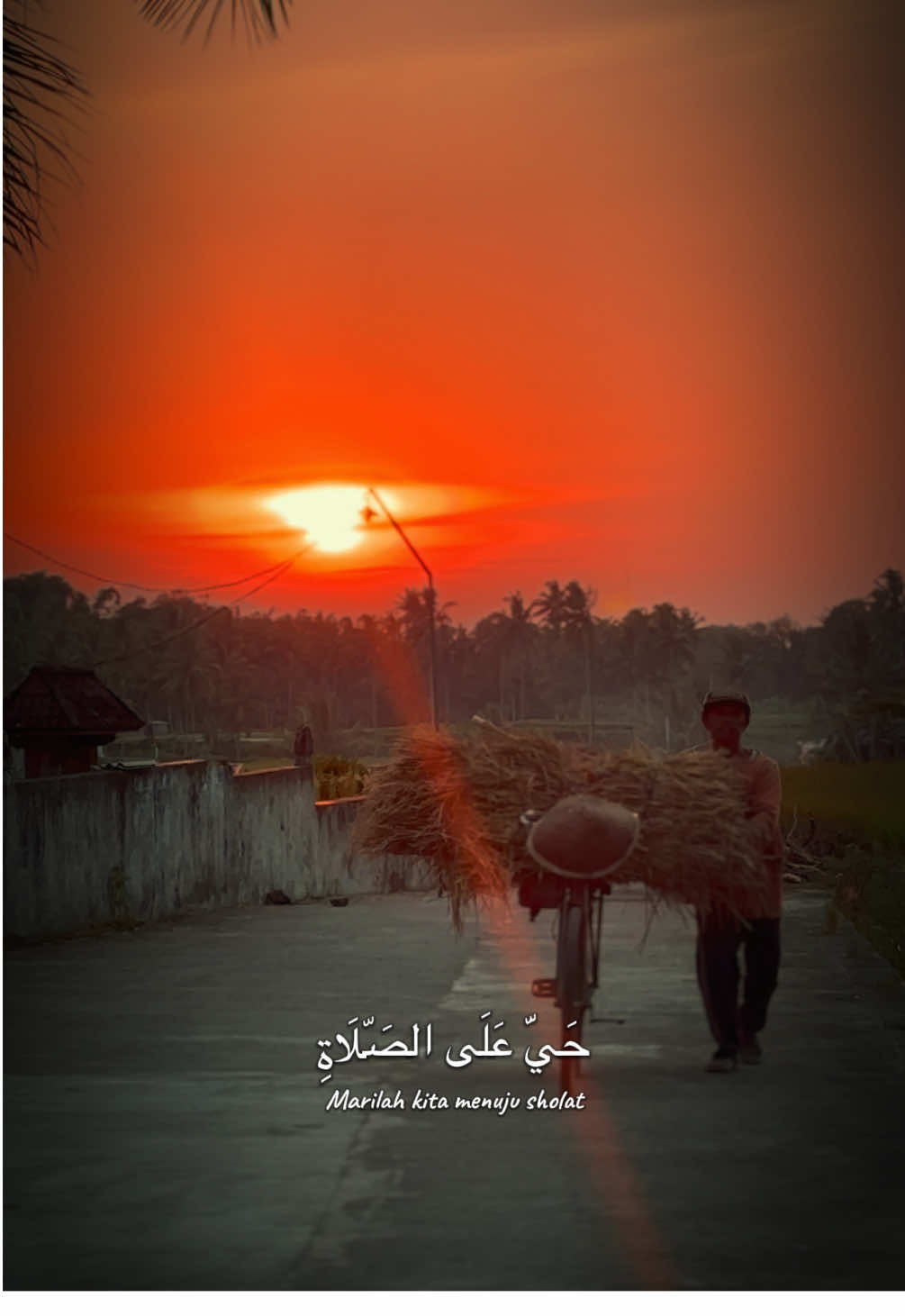 Akhir akhir ini banyak kejadian indah di sore hari #f #fyp #magelang #magelang24jam #senja #senjasorehari #adzan  #magrib #adzankiamat #adzanyordania #sawah