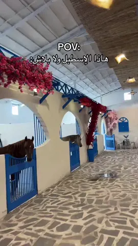 احلا اسطبل ✋🏻🫡 . . . #اسطبل #يوناني #خيل_وخياله🐎 #مربط_مرتضى💙 