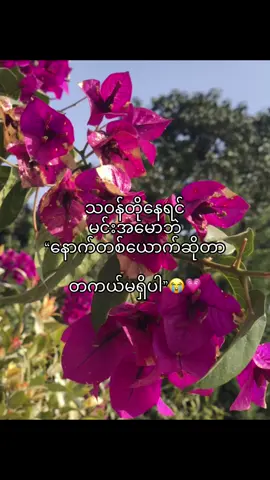 😭💗#fypシ゚ #fyppppppppp 