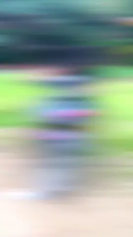 #CapCut Penggen di SPH SMA user Revoo jgaa🙂🔥##gorntalotiktok #paguyaman 